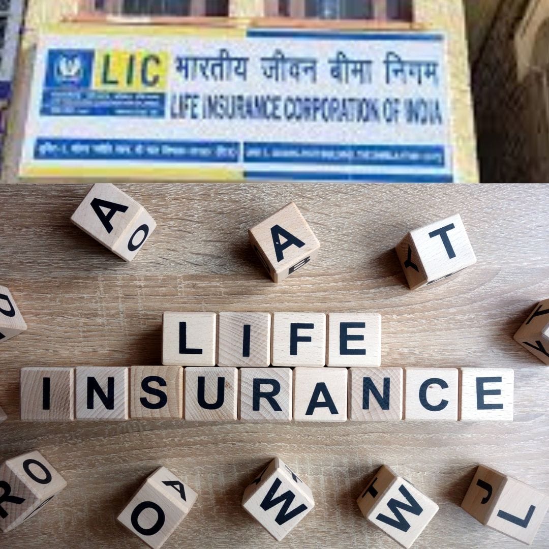 क्या वाक़ई LIC को कोई खतरा नहीं है?