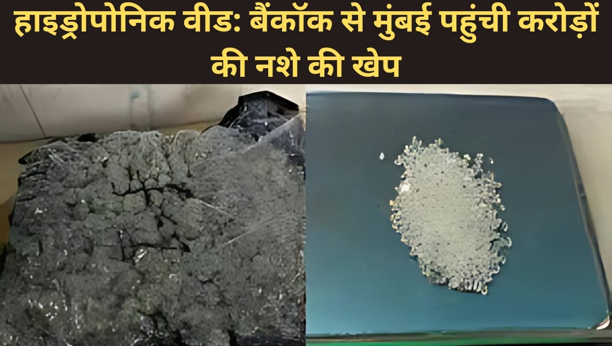 हाइड्रोपोनिक वीड', जो बैंकॉक से मुंबई पहुंचा रही नशे की आफत”